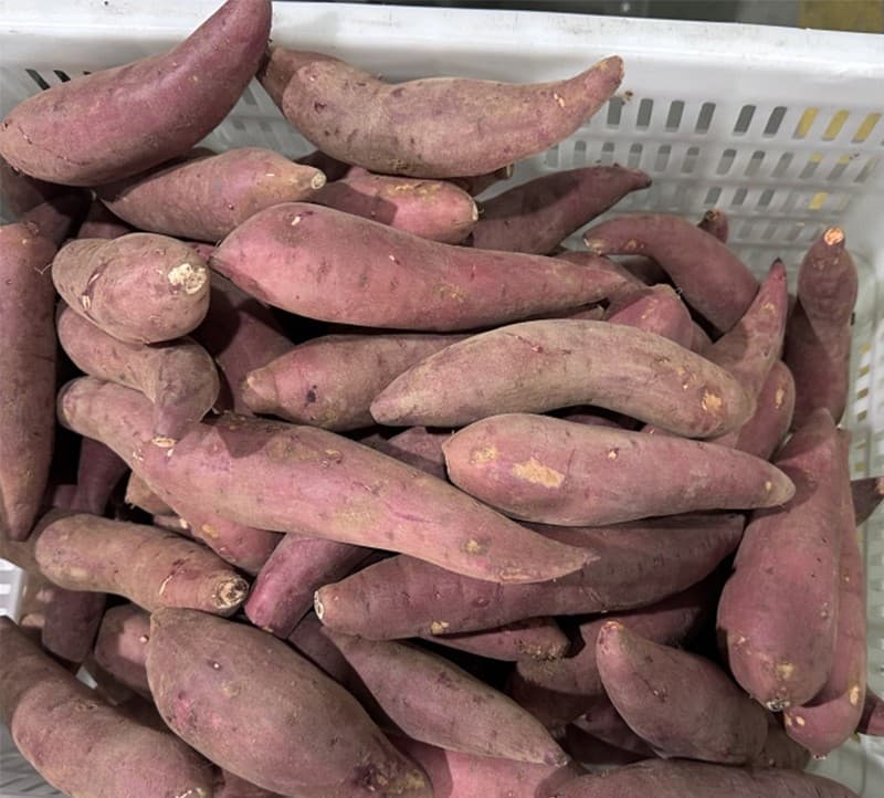 images/1741935909269sweet potato washing machine.jpg